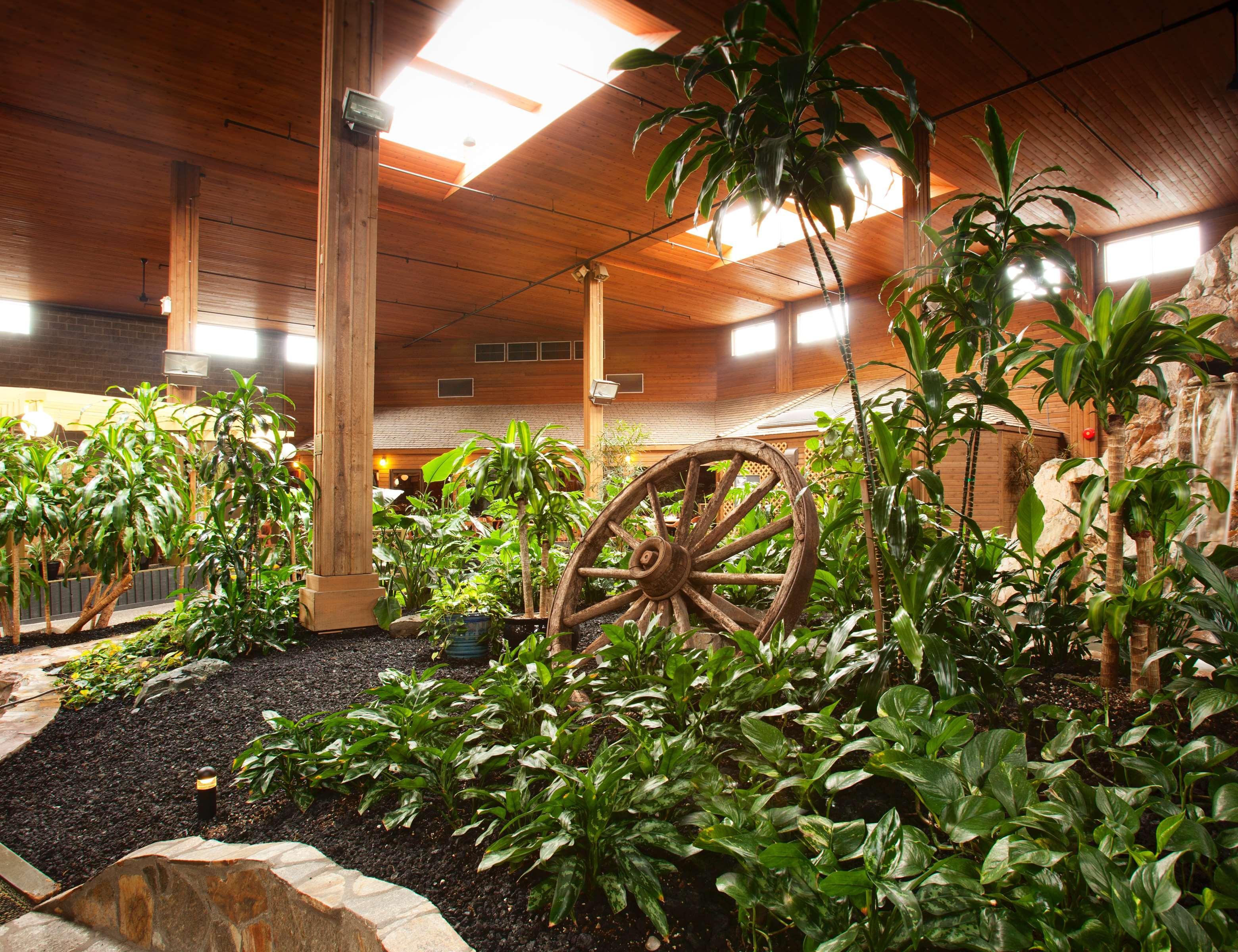 Best Western Premier Ashton Suites - Willowbrook Х'юстон Екстер'єр фото